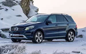Cars wallpapers Mercedes-Benz GLE 250 d 4MATIC - 2009