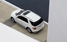 Cars wallpapers Mercedes-Benz ML320 BlueTEC - 2008