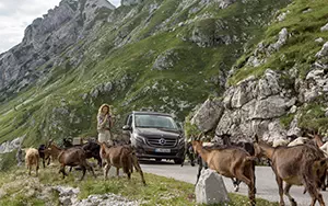 Cars wallpapers Mercedes-Benz Marco Polo 250 BlueTEC - 2014