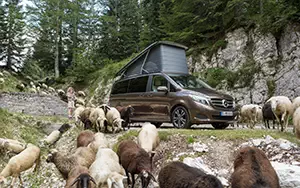 Cars wallpapers Mercedes-Benz Marco Polo 250 BlueTEC - 2014