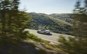 Cars wallpapers Porsche Boxster 25 Years - 2021