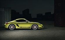 Cars wallpapers Porsche Cayman R - 2011