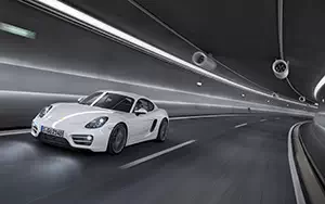 Cars wallpapers Porsche Cayman - 2013