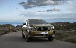 Cars wallpapers Skoda Kodiaq 4x4 - 2024