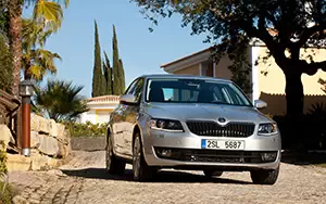 Cars wallpapers Skoda Octavia - 2013