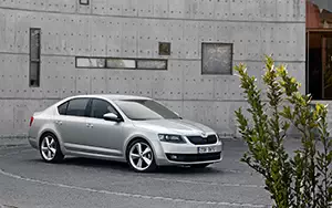 Cars wallpapers Skoda Octavia - 2013