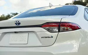 Cars wallpapers Toyota Corolla LE Hybrid Sedan US-spec - 2019