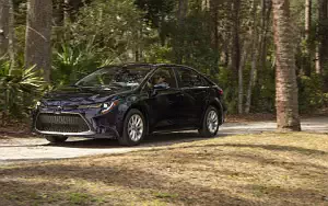 Cars wallpapers Toyota Corolla XLE Sedan US-spec - 2019