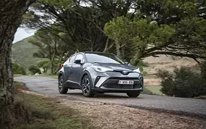 Cars wallpapers Toyota C-HR Hybrid (Grey) - 2019